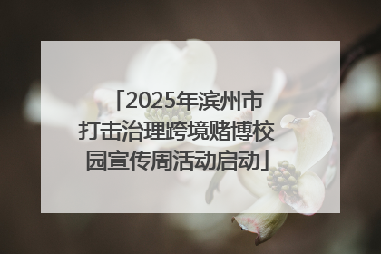 2025年滨州市打击治理跨境赌博校园宣传周活动启动