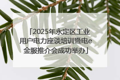 2025年永定区工业用户电力座谈培训暨电e金服推介会成功举办