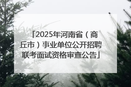 2025年河南省（商丘市）事业单位公开招聘联考面试资格审查公告