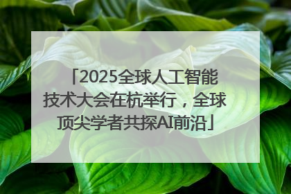 2025全球人工智能技术大会在杭举行，全球顶尖学者共探AI前沿