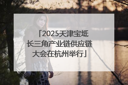 2025天津宝坻长三角产业链供应链大会在杭州举行