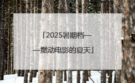 2025暑期档——燃动电影的夏天
