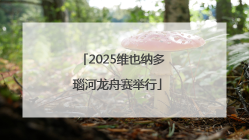 2025维也纳多瑙河龙舟赛举行