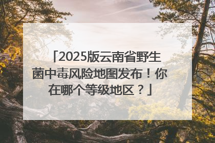 2025版云南省野生菌中毒风险地图发布！你在哪个等级地区？