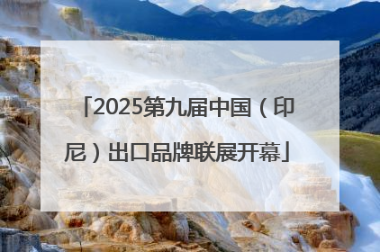 2025第九届中国（印尼）出口品牌联展开幕