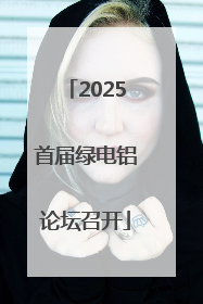 2025首届绿电铝论坛召开