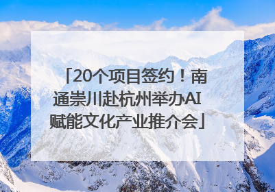 20个项目签约！南通崇川赴杭州举办AI赋能文化产业推介会