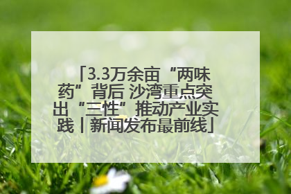 3.3万余亩“两味药”背后 沙湾重点突出“三性”推动产业实践丨新闻发布最前线