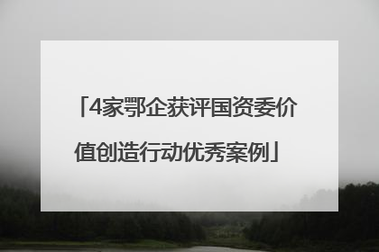 4家鄂企获评国资委价值创造行动优秀案例