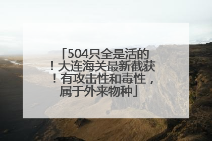 504只全是活的！大连海关最新截获！有攻击性和毒性，属于外来物种