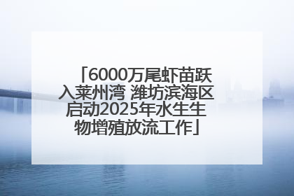 6000万尾虾苗跃入莱州湾 潍坊滨海区启动2025年水生生物增殖放流工作