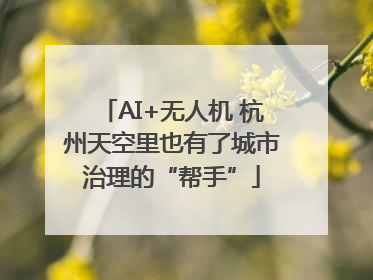 AI+无人机 杭州天空里也有了城市治理的“帮手”