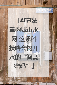 AI算法重构城市水网 这场科技峰会揭开水的“智慧密码”