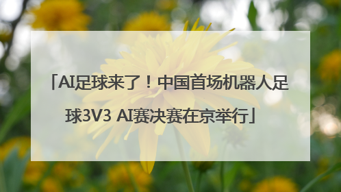AI足球来了！中国首场机器人足球3V3 AI赛决赛在京举行